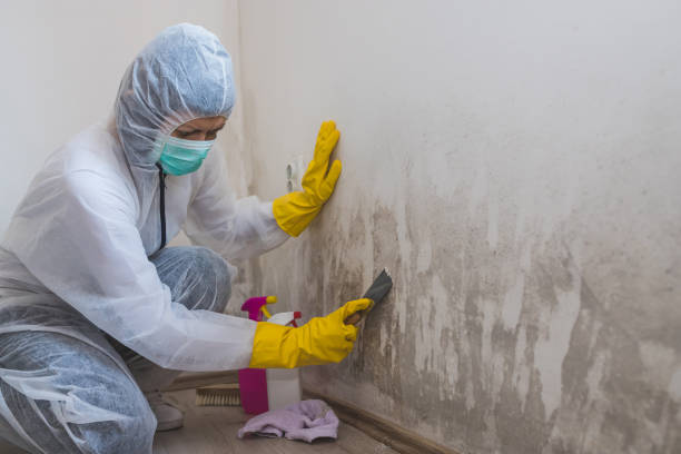Mold Documentation for Insurance Claims in Larkfield Wikiup, CA