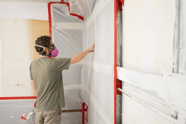 Best Emergency Mold Remediation  in Larkfield Wikiup, CA