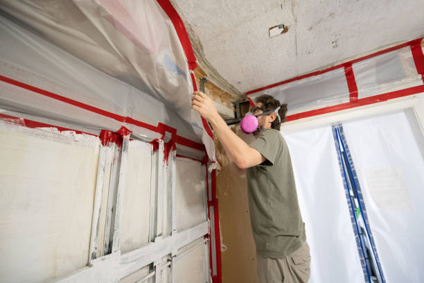 Best Mold Remediation for Healthcare Facilities  in Larkfield Wikiup, CA