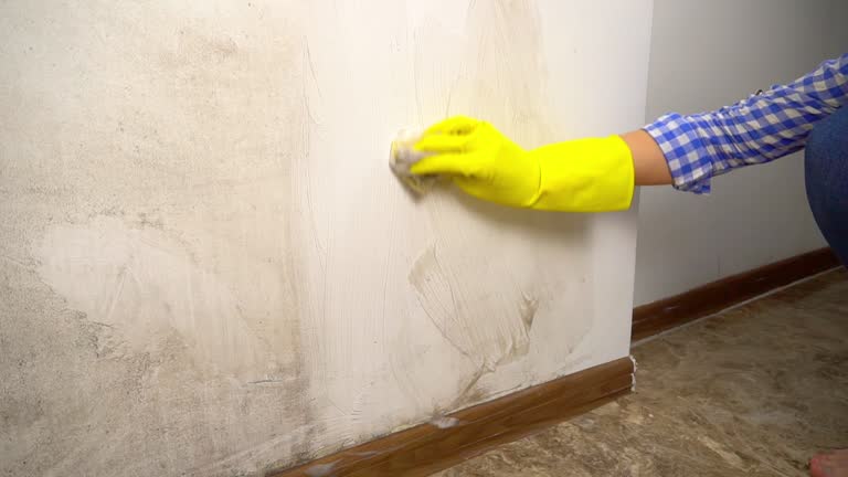 Best Airborne Mold Testing  in Larkfield Wikiup, CA