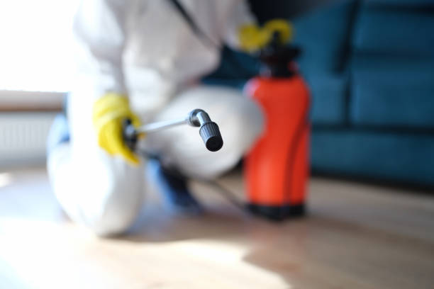 Best Environmental Consulting for Mold Prevention  in Larkfield Wikiup, CA