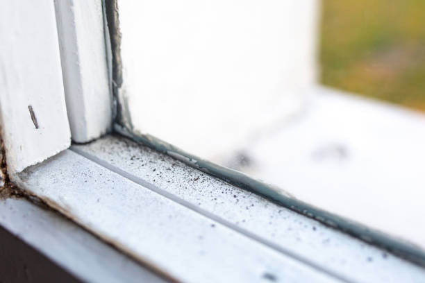 Best Mold Documentation for Insurance Claims  in Larkfield Wikiup, CA