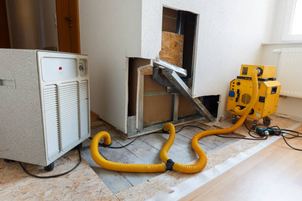 Best Residential Mold Inspection & Testing  in Larkfield Wikiup, CA