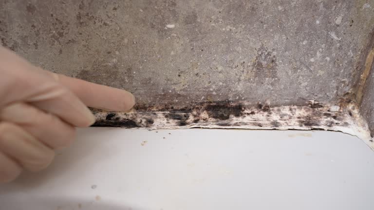 Best Industrial Mold Remediation  in Larkfield Wikiup, CA